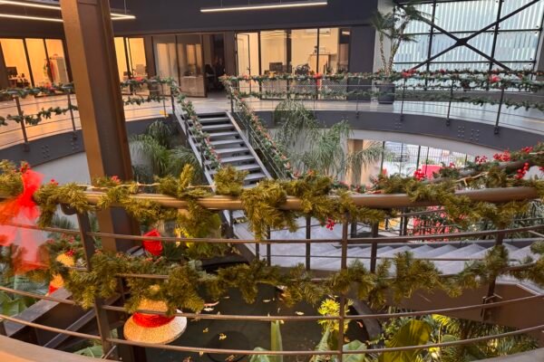 Yeni Yıl Yılbaşı Partisi Eğlencesi Organizasyonu İzmir Organizasyon